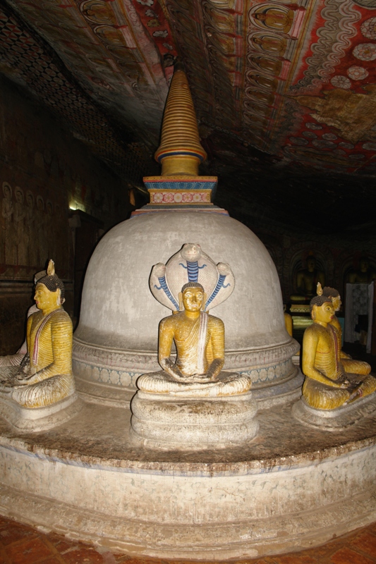    .   , - ( Dambulla - cave temple - another cobra , Dambulla, Sri-Lanka)